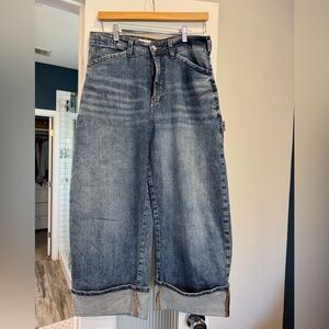 Anthropologie Pilcro Barrel Jeans
